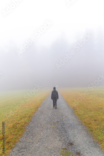 Path into fog