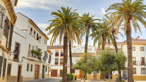 dans les rues de Cordoue et dans les maisons avec cour intérieure et patio typiquement andalouse et patios, Andalousie Espagne © Lotharingia