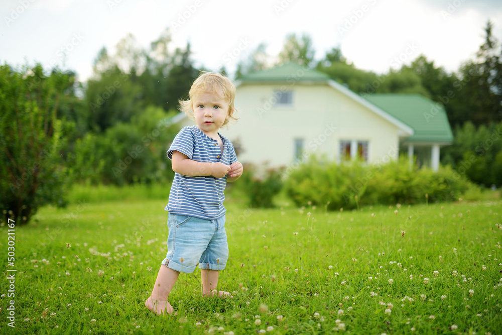 Funny toddler boy having fun outdoors on sunny summer day. Child exploring nature. Funny toddler boy having fun outdoors on sunny summer day. Child exploring nature.