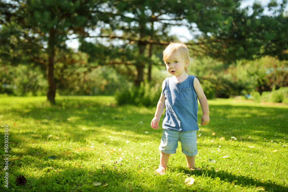 Funny toddler boy having fun outdoors on sunny summer day. Child exploring nature. Funny toddler boy having fun outdoors on sunny summer day. Child exploring nature.