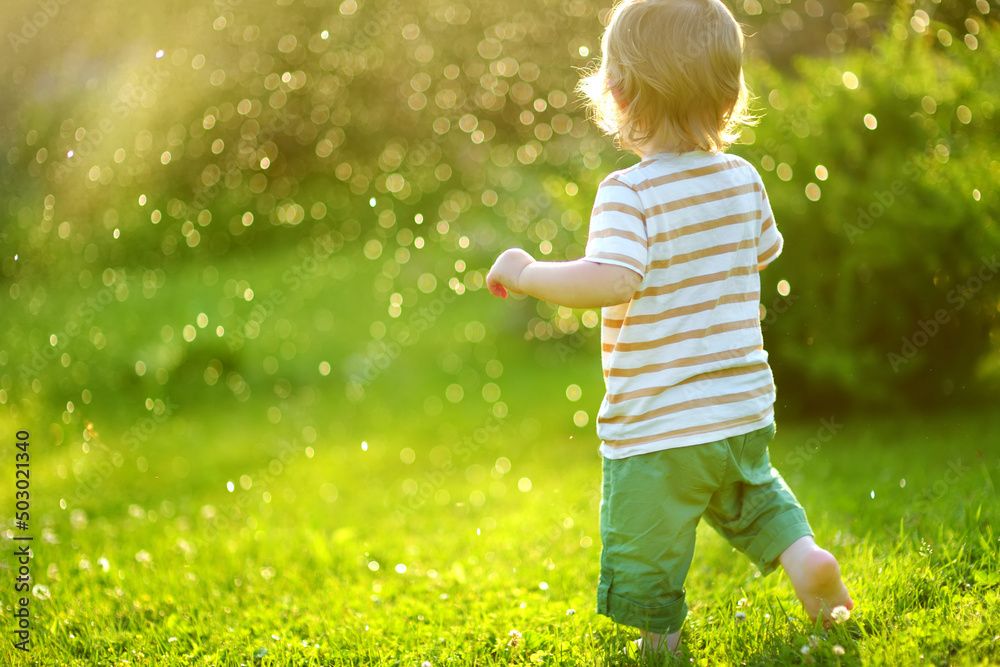 Funny toddler boy having fun outdoors on sunny summer day. Child exploring nature. Funny toddler boy having fun outdoors on sunny summer day. Child exploring nature.