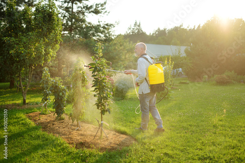 Farmer with a mist fogger sprayer sprays fungicide and pesticide on bushes and trees. Protection of cultivated plants from insects and fungal infections. photo