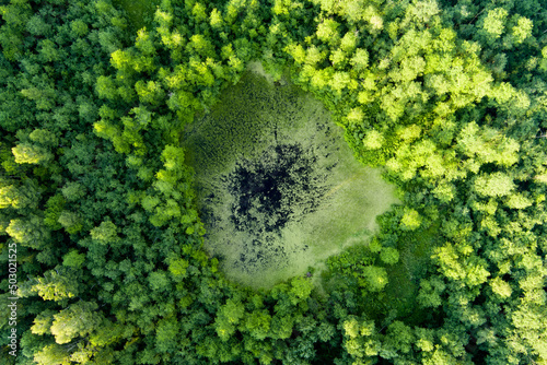 Beautiful top down aerial view of a lake in Moletai region, famous or its lakes. photo