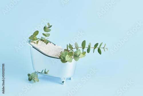 Bild auf Leinwand White bath salt and twigs of fresh eucalyptus in a small bathtub on a blue background
