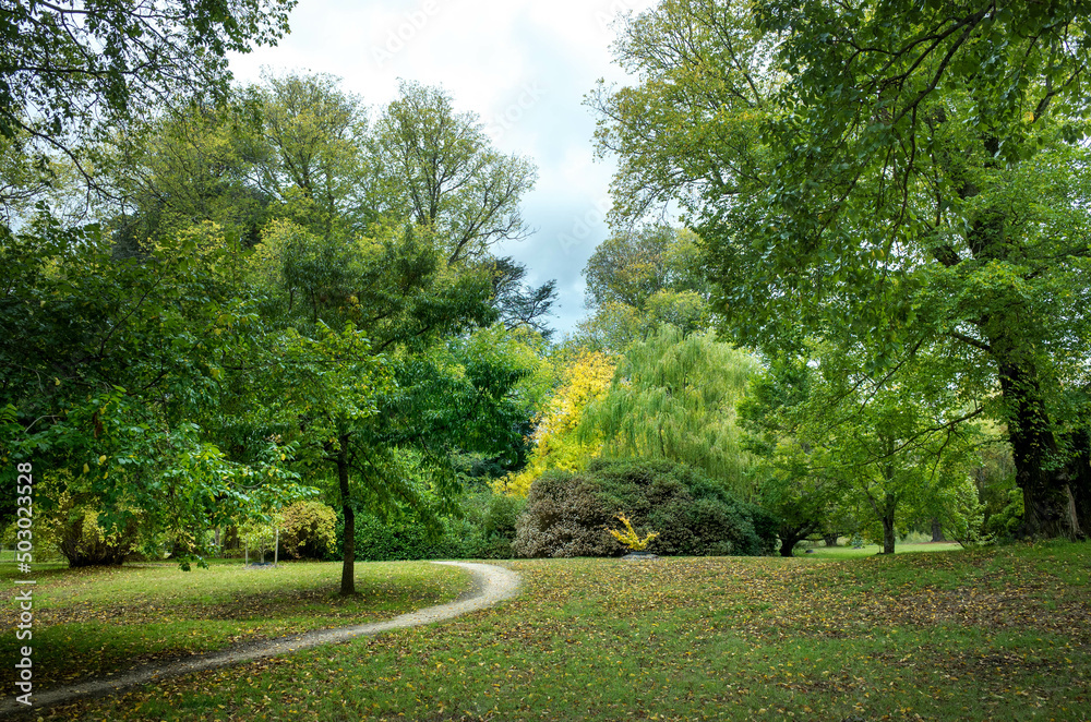 Trees and footpath on a cloudy day.  Malmsbury Botanical Gardens, Macedon ranges, Australia.