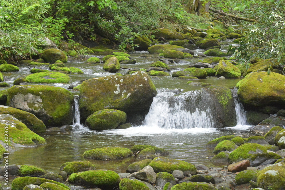 water, waterfall, nature, natural, river, travel, stream, stone, rock, scenic, forest, cascade, landmark, flowing, beautiful, outdoor, tree, green, landscape, mountain, fall, vacation, park, vertical, water, waterfall, nature, natural, river, travel, stream, stone, rock, scenic, forest, cascade, landmark, flowing, beautiful, outdoor, tree, green, landscape, mountain, fall, vacation, park, vertical,
