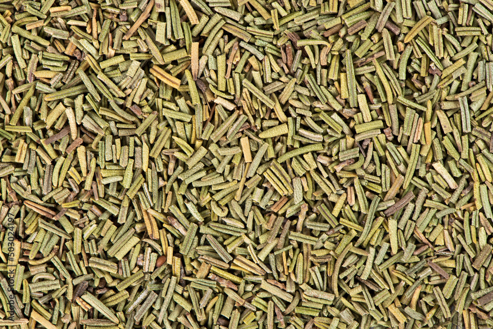 Green cardamom seeds. Cardamom isolated on white background. Dry cardamom.