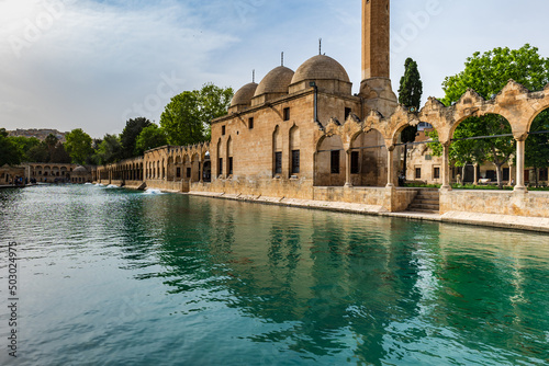 Balikligol (The Fish Lake in English) in Sanliurfa, Turkey.  The historic Pool of Abraham, or Pool of Sacred Fishin the city of Urfa, Turkey photo