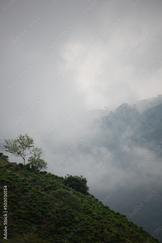 clouds over the mountains