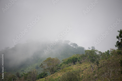 fog in the mountains