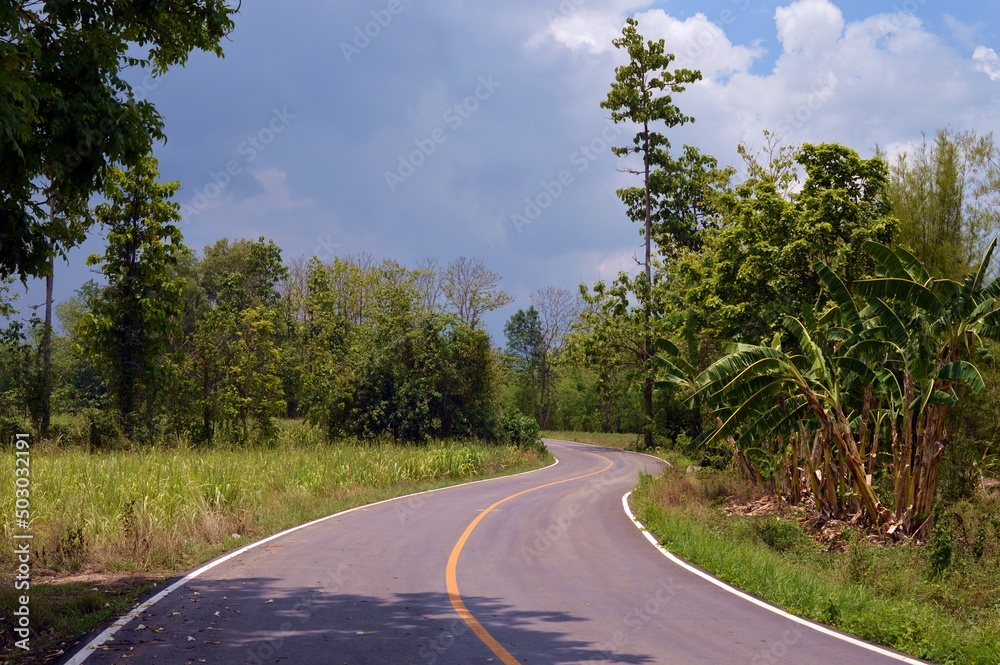 Fototapeta premium road in the countryside
