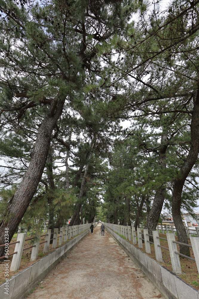 Fototapeta premium 法隆寺参道