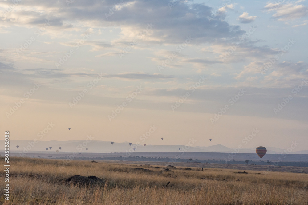 Fleet of Hot Air Balloons Floats Over the Maasai Mara, Kenya at Sunrise Fleet of Hot Air Balloons Floats Over the Maasai Mara, Kenya at Sunrise