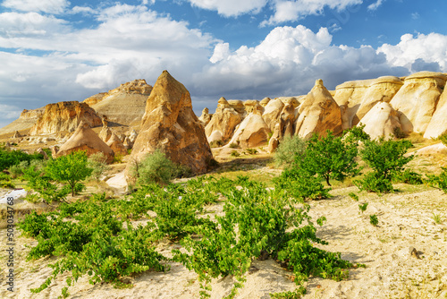 Awesome landscape of Pasabag valley in Cappadocia, Turkey