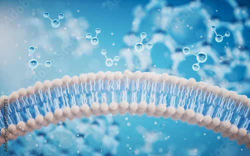 Fotografía Cell membrane with blue background, 3d rendering.