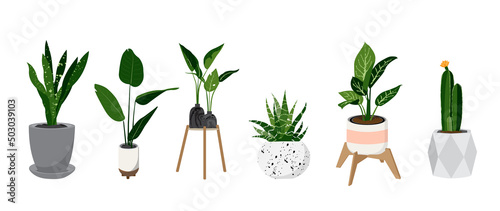 Potted plants vector collection on white background. Set of interior house plants with flower pot, cactus, vase, leaves and foliage. Different home indoor green decor illustration for decoration, art.