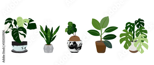 Potted plants vector collection on white background. Set of interior house plants with pot, monstera leaf, leaves and foliage. Different home indoor green decor illustration for decoration, art.