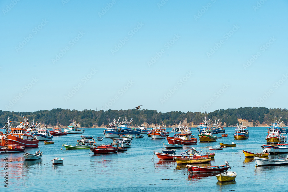 Colorful shot of ships and boats in Caleta Tumbes, Chile
