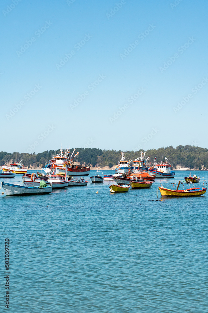 Vertical shot of colorful boats in Caleta Tumbes with mountains in the background, Chile