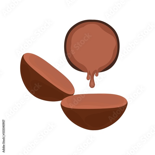 Vector illustration of the process of making Brown Sugar or Palm Sugar or Java Sugar. Liquid palm sugar is poured from the coconut shell. With a white background. Perfect for candy sachet icons.