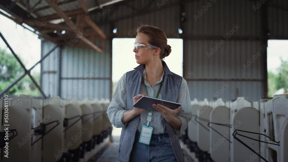Livestock worker walking animal husbandry. Professional breeder holding tablet. Livestock worker walking animal husbandry. Professional breeder holding tablet.