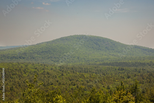 a hill covered in trees in massachusetts