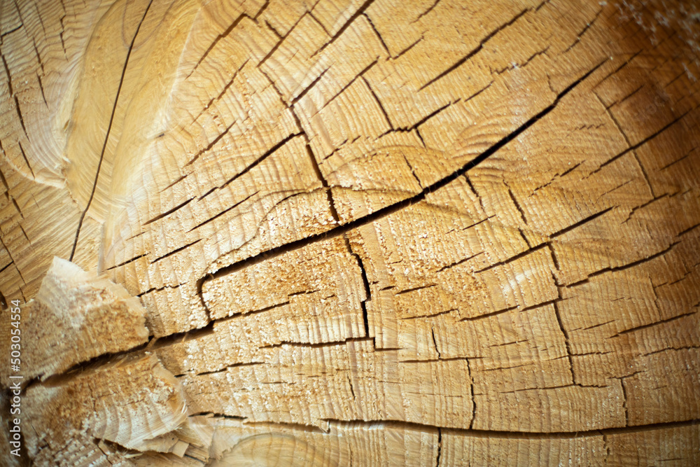 Cracks in tree. Texture is dry wood. Sawn spruce. Cracks in tree. Texture is dry wood. Sawn spruce.