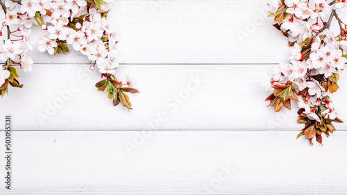 Spring background flower blossom and April floral nature with blooming tree on wooden. Easter Sunny day. Orchard abstract background. Springtime.