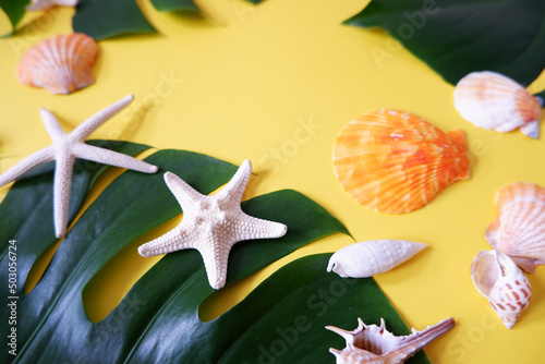 Shells and Tropical leaves on yellow background. Summer Marine concept top view. Colorful Shells and starfish composition on yellow background.  photo