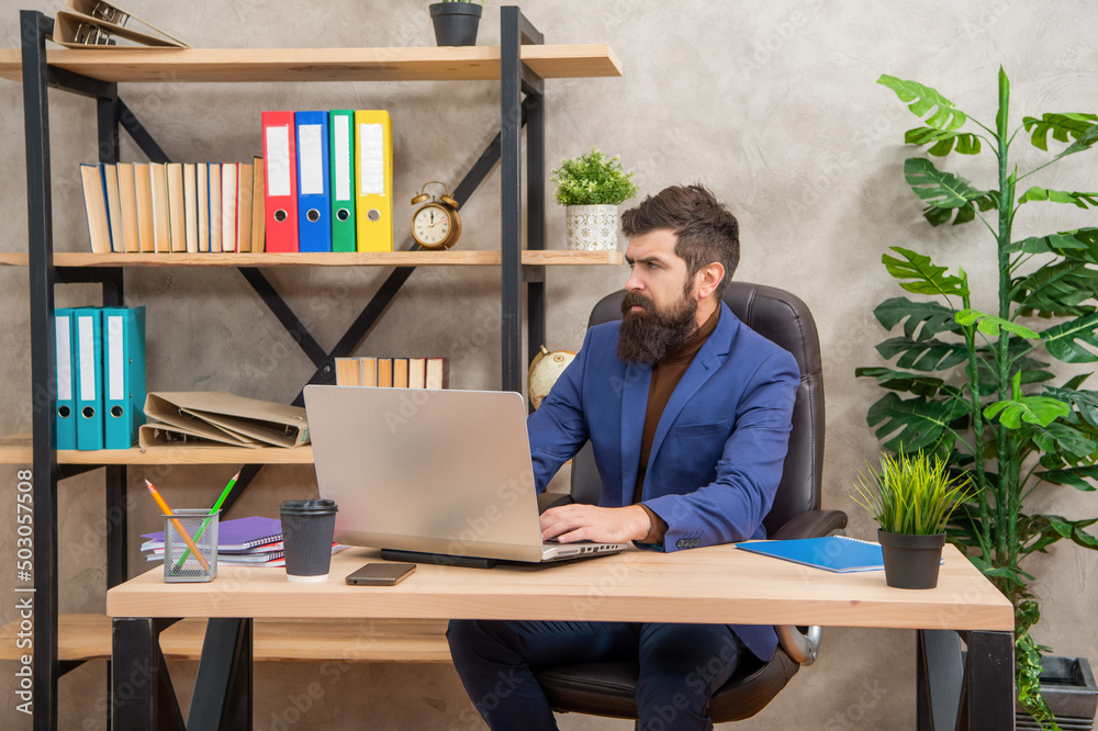confident bearded boss study online on laptop in the office, business education confident bearded boss study online on laptop in the office, business education