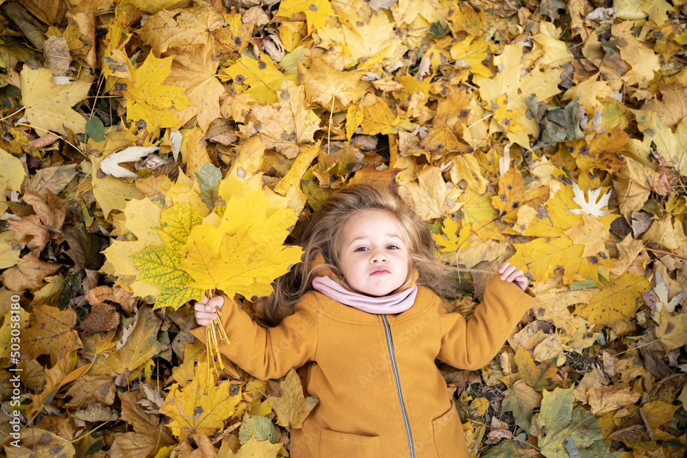 happy little child, girl laughs and plays in nature in autumn, walk outdoors, in park among fallen leaves happy little child, girl laughs and plays in nature in autumn, walk outdoors, in park among fallen leaves