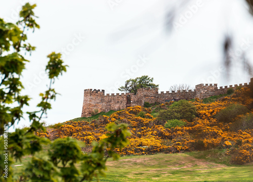 Scenic view of the Castelo de Santiago do Cacem on green hill against trees and flowers in Portugal photo