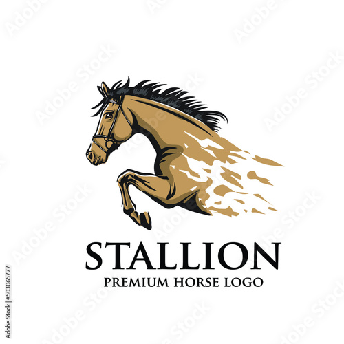 Vector illustration of a racing horse and stallion logo