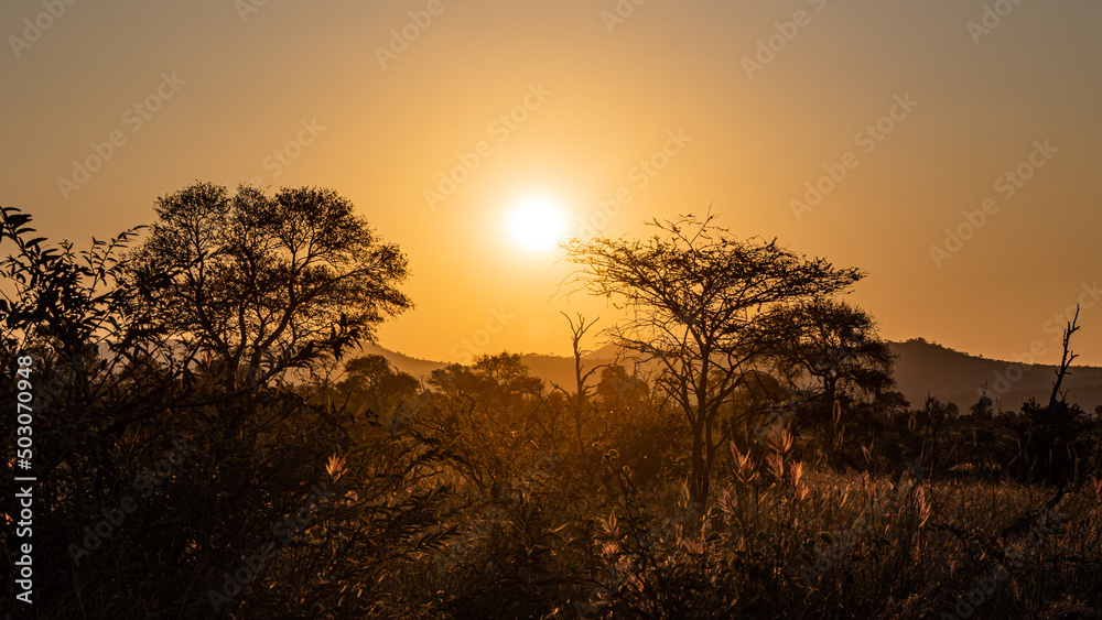 sunset in the Kruger national park