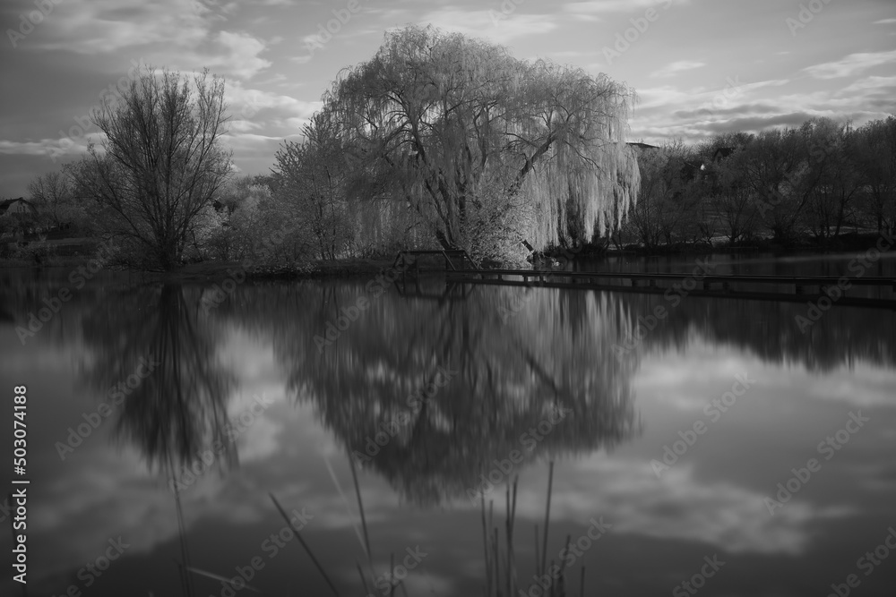 Beautiful black and white landscape of  the lake in the village