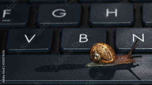 Snail walking quietly on a notebook