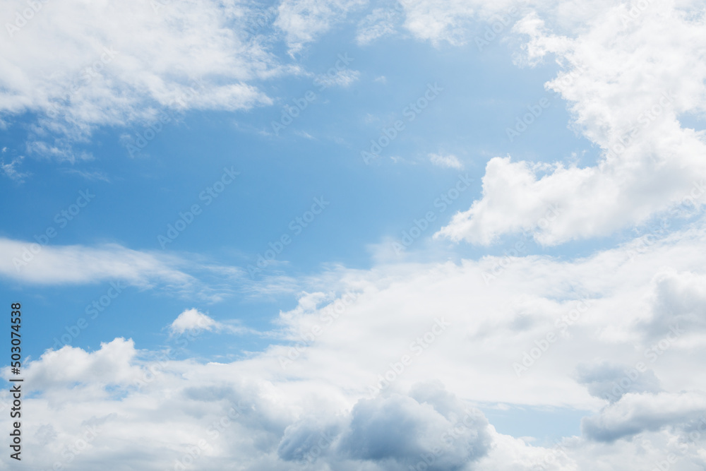 Fototapeta premium 空