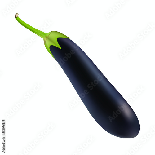 eggplant isolated on white