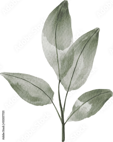 Floral watercolor illustration 