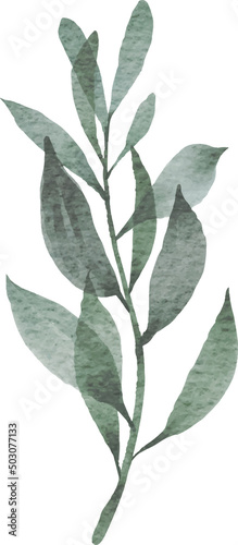 Floral watercolor illustration 