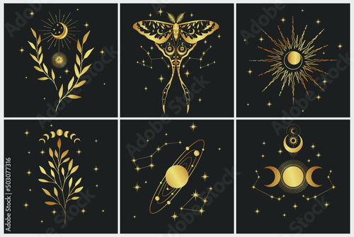Magic art vector set. Decorative symbolic moth, planets, herbs and stars. Gold contour sketches, vector mythology set.