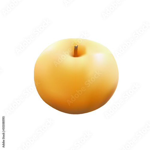  Snow pear or Fengsui pear