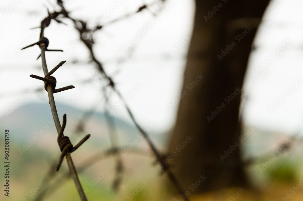 Closeup of barbed wire in a hilly landscape Closeup of barbed wire in a hilly landscape