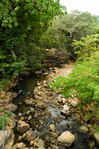 Wild tropical jungle creek with large boulders