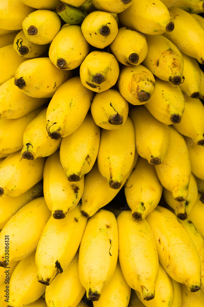 Closeup of a Bunch of Tasty Ripe Bananas