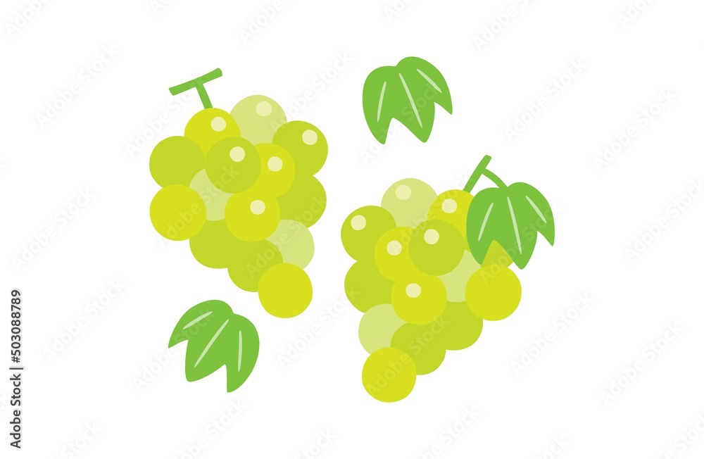 マスカットのイラスト Stock Vector Adobe Stock