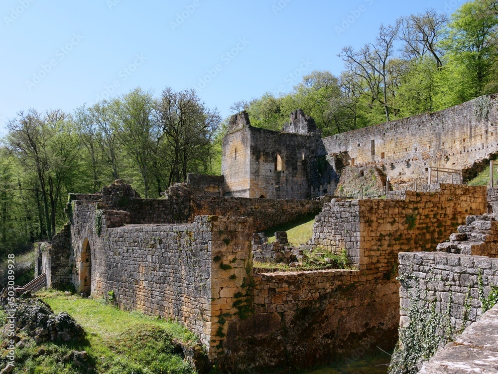 Obraz premium Château fort de Commarque à Eyzie de Tayac en Dordogne dans le périgord noir France Europe