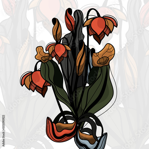 Botanical set. Vector illustration of multicolored leaves. Linear contour. Cartoon style. Natural nature. Inflorescences. Spring and autumn. Herbarium. Hand-drawn flowers. A home flower. Pitcher plant photo