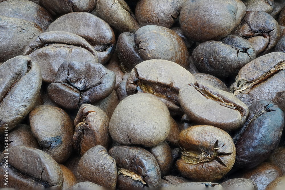 roasted beans roasted beans