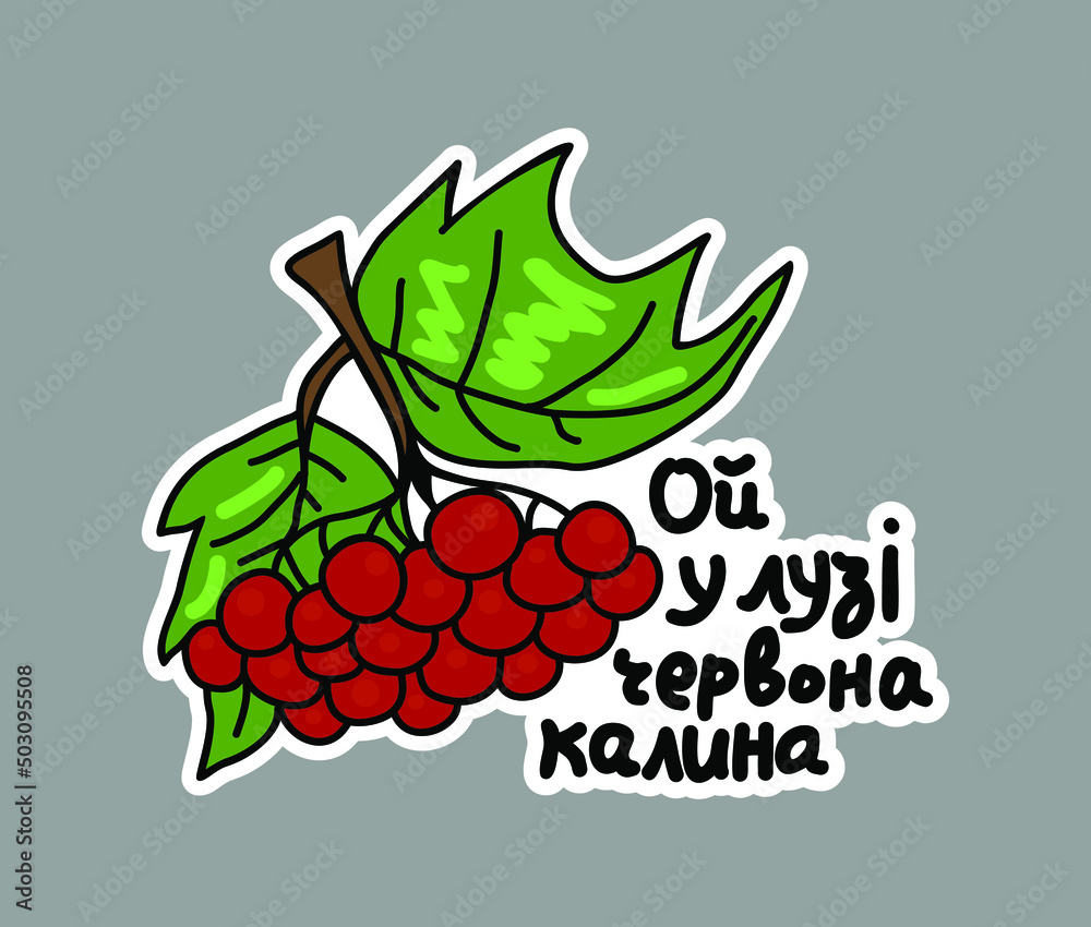 Vector illustration of viburnum and inscription "oy u luzi chervona